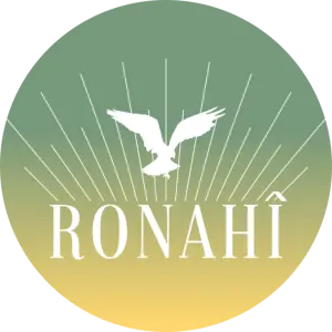 logo of Ronahi - Youth Center for Public Relations